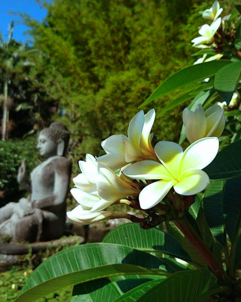 Garrden Bubddha statue