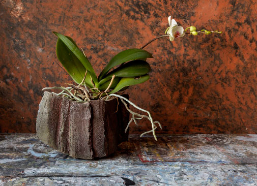 Ceramic vase Decembrance 2020-Catherine White