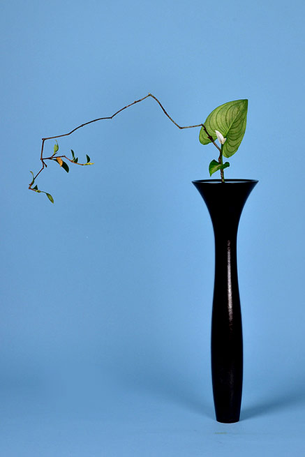 Shoka-ikebana-display