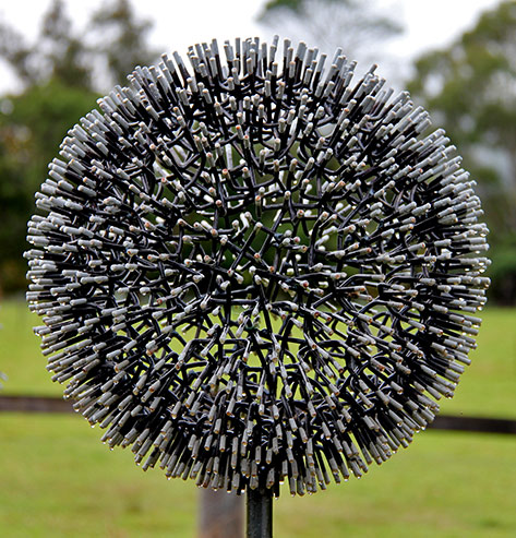 Al-Phemister’s-Dandelion-series-2015 - Kangaroo Valley sculpture