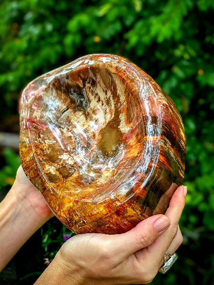 Ancient knowledge petrified wood