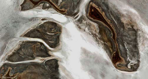 ariel--large-serpent--
