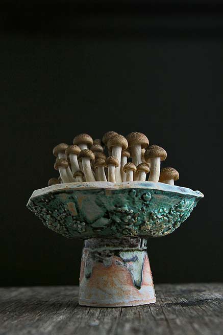 Aughrim-with-mushrooms by Adam Whatley