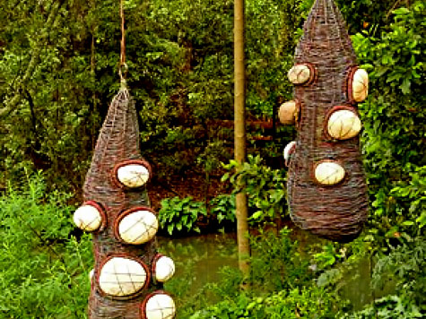 Banksia-Women-by-Bronwyn-Berman-2013 outdoor hung sculpture
