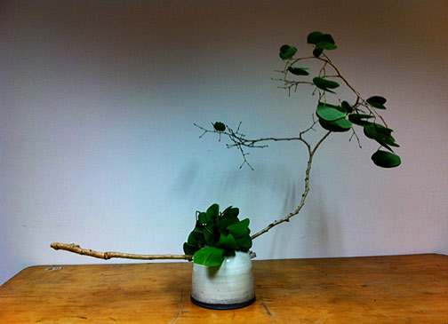 Bauhiinia---One-Kind-of-Branch---2013