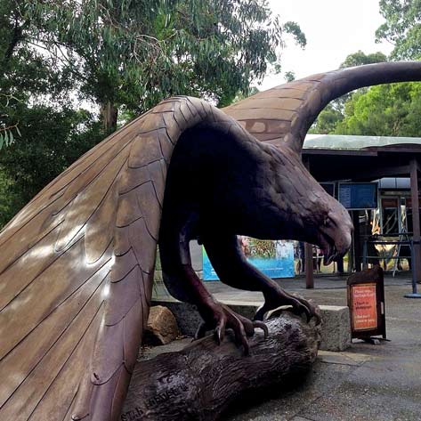 Bunjil-the-creator-Spirit-at-healesville-sanctuary