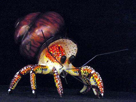 carved-ivory-nut-hermit-crab hand painted