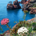 Cote dAzue France