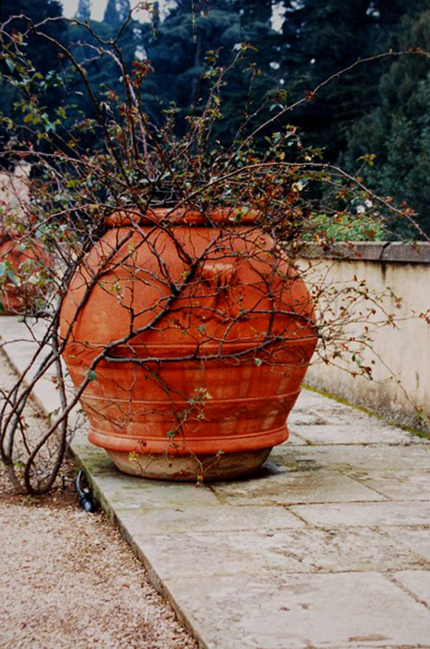 large terracotta outdoor planter