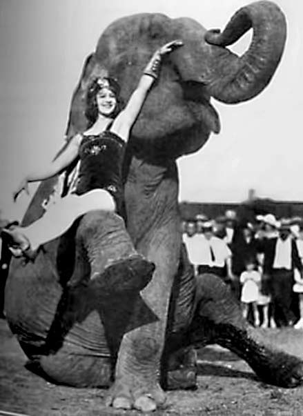 elephantgirl - female circus performer sitting on an elephants knee