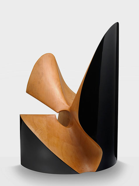 Geometrical-Form-in-Cypresstoshimasa-kikuchi-0001-01