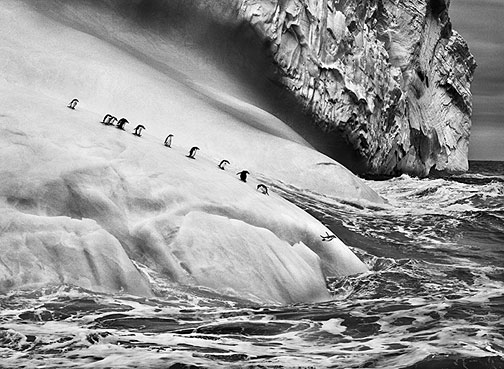 iceberg-between-paulet-island-and-the-south-shetland-islands-on-the-weddell-sea-antarctic-peninsula-2005