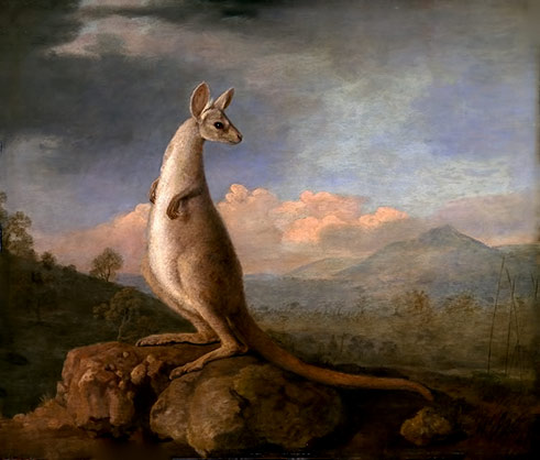 'The Kongouro from New Holland'  - oil painting by George Stubbs 1772 - National Maritime Museum in Greenwich, London