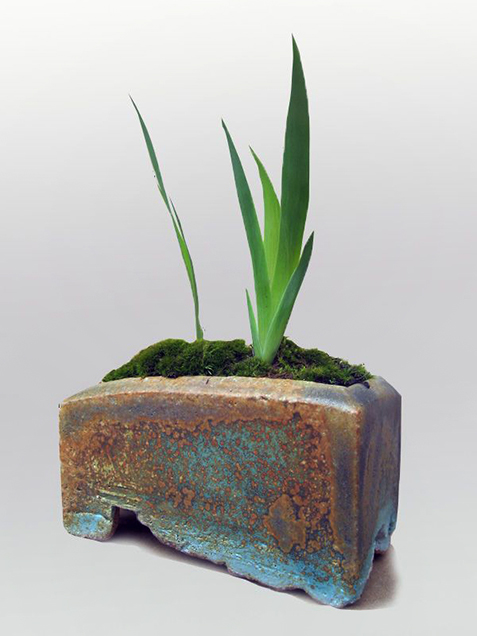 Kusamono Planted WithI rises And MossDetail