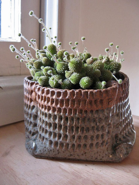 Morgan-peck-planter