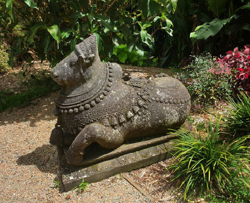 Nandi the Bull volcanic rock statue
