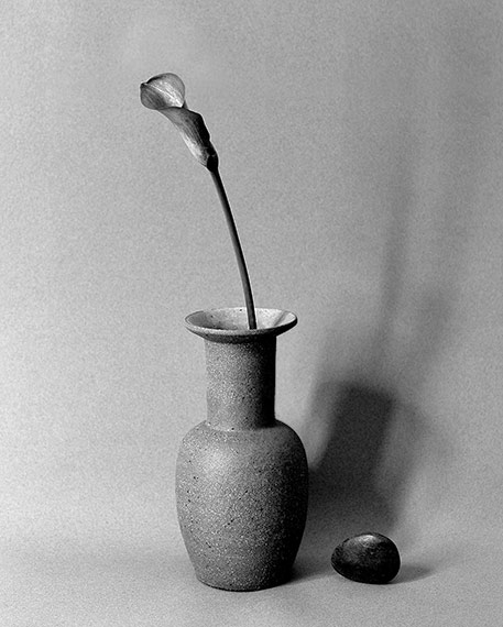 Nicolette-Johnson raised neck ovoid vessel