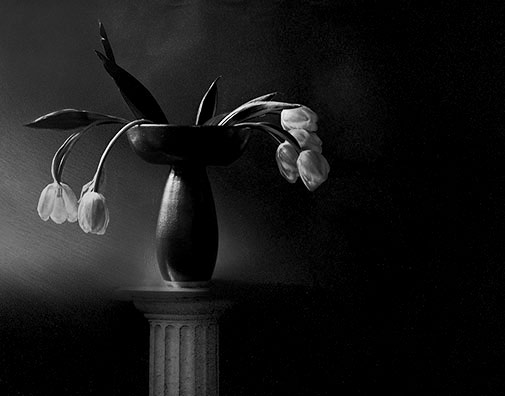 Black and white photo of a pedestal vase with tulips - Nicolette Johnson