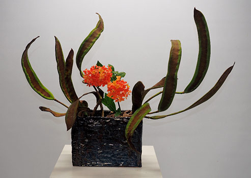 Pats-Ikebana-Poinchiana-Podas-and-Ixora-2015