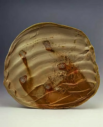 Simon-van-der-contemporary plate Ven-vandervenstudios-com