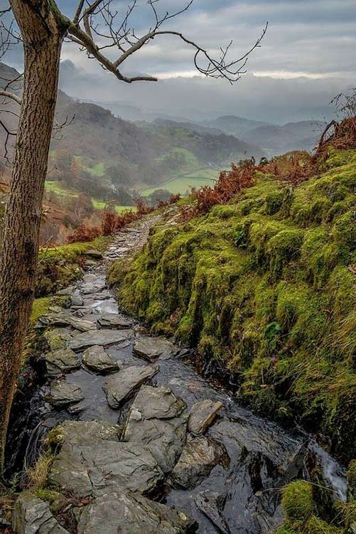 stone-creek-coniston-england-bardsea-photography