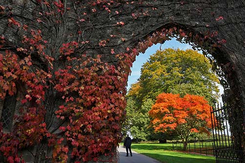 stourhead-autumn-uk-toby-melville