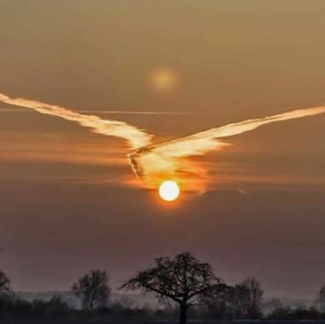 thereisafield---Instagram bunjil in flight cloud form at sunset 