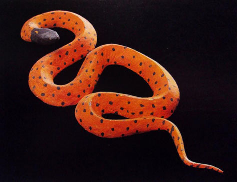 Tjapaltjarri, Clifford Possum, Carved and Painted Snake 