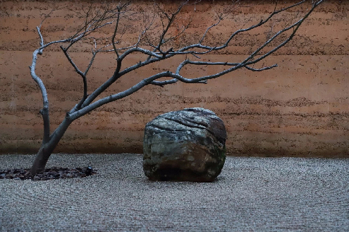 Tree,stone.courtyard